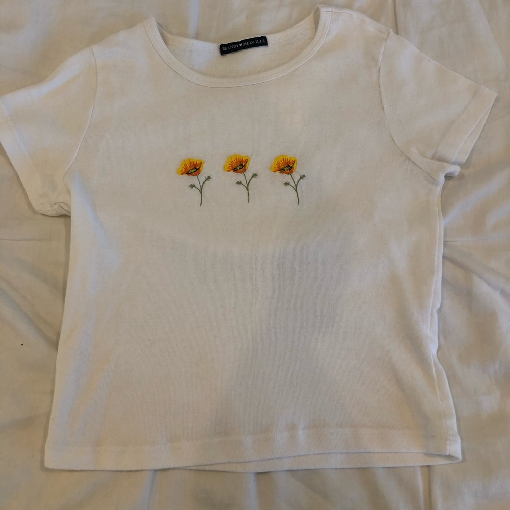 Brandy Melville poppyseed top